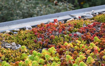 the cost of Chapel Head green roof installation