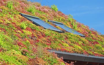 Chapel Head living roof systems